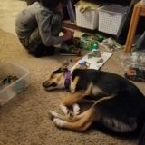 LEGO building with Devlyn & Titan